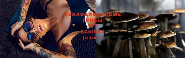 метадон Арсеньев