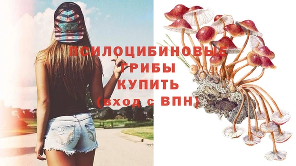 метадон Арсеньев