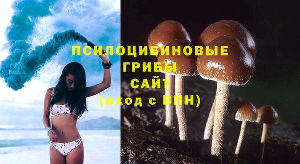 метадон Арсеньев